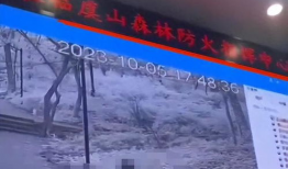 森林防火视频监控,实时守护绿色家园的科技防线